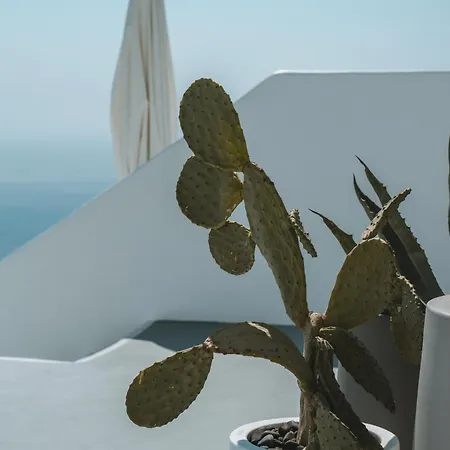 Grace Hotel, Collection 5*